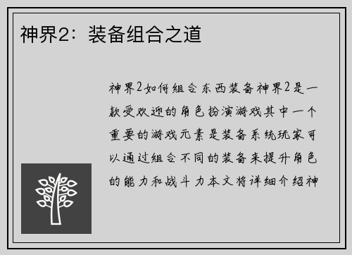 神界2：装备组合之道